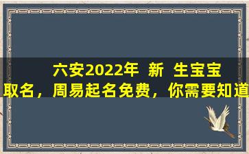 六安2022年  新  生宝宝取名，周易起名免费，你需要知道的都在这里！